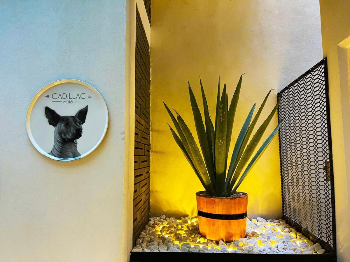 Cadillac Cocoon Beds 墨西哥城 外观 照片